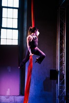 dsc_8165c.jpg