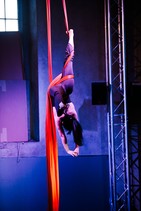 dsc_8192c.jpg