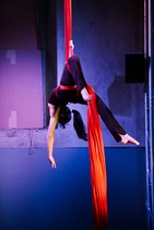 dsc_8205c.jpg