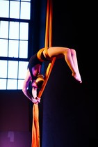 dsc_8460c2.jpg