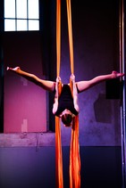 dsc_8575c.jpg