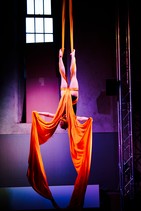 dsc_8599c2.jpg